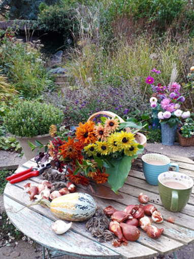 Cut flowers and cups of tea. Gardening workshops, floral workshops and garden tours in somerset wiltshire bath and bristol